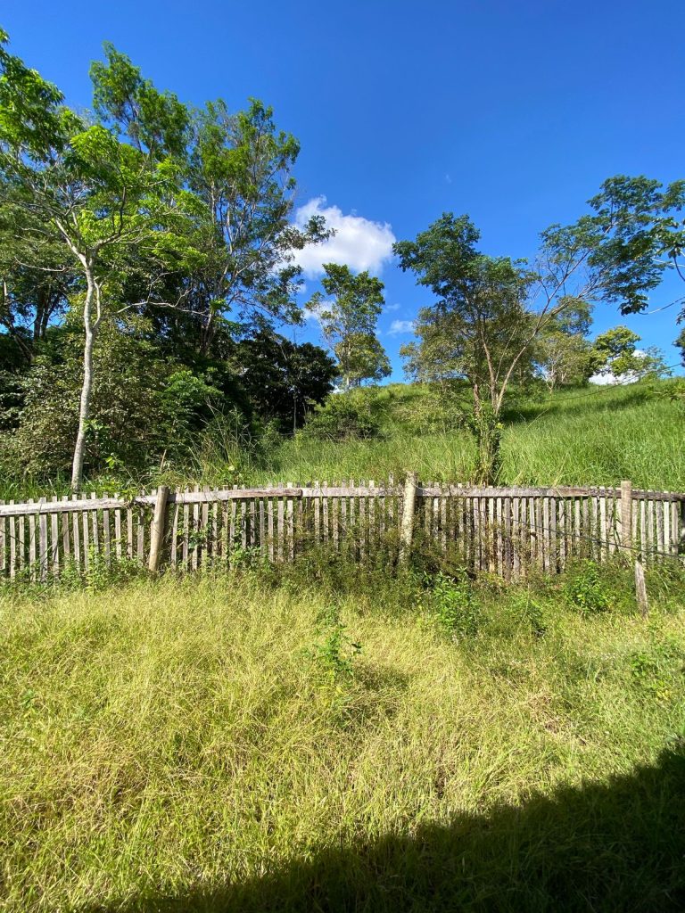 VENDE-SE CHÁCARA URBANA NA RUA ALUÍZIO RAMALHO, SETOR 01/A – JARU/RO