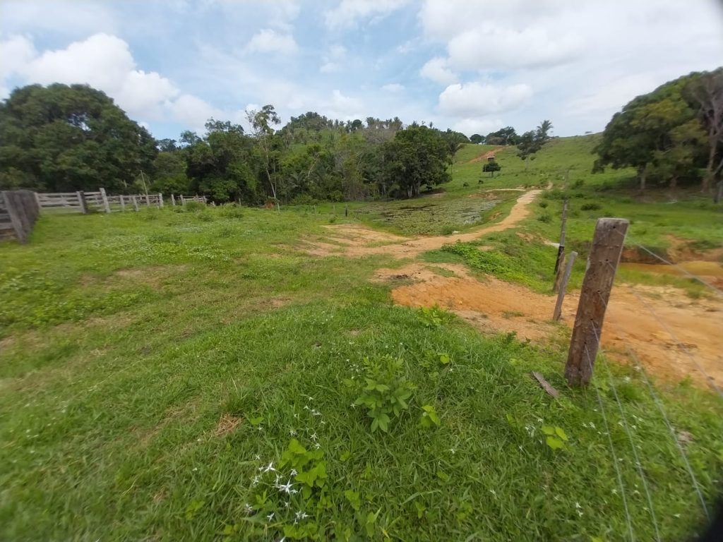 VENDE-SE SÍTIO EM JARU/RO