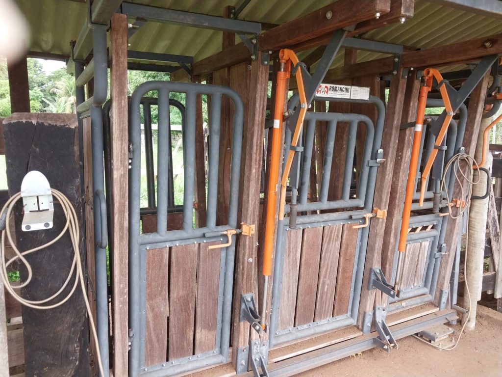 VENDE-SE SÍTIO EM JARU/RO