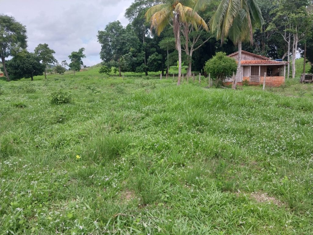 VENDE-SE SÍTIO EM JARU/RO