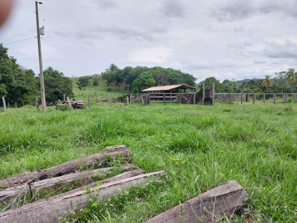 VENDE-SE SÍTIO EM JARU/RO