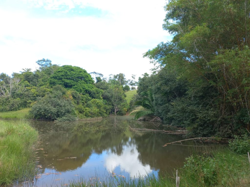 VENDE-SE SÍTIO DE 21 ALQUEIRES EM THEOBROMA/RO