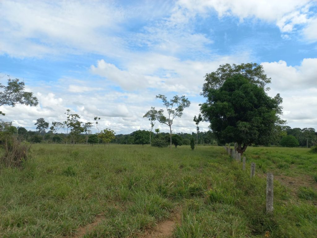 VENDE-SE SÍTIO DE 21 ALQUEIRES EM THEOBROMA/RO