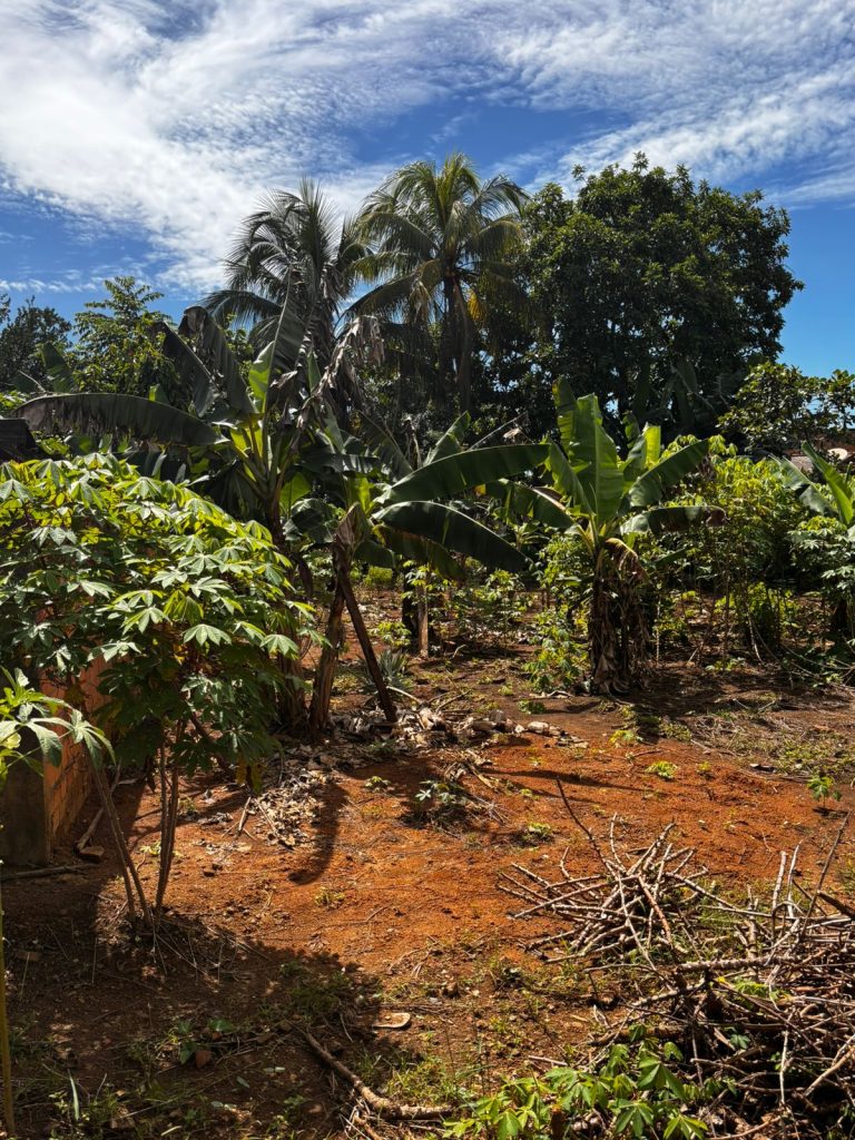 VENDE-SE TERRENO NA RUA EMÍLIO MORET, SETOR INDUSTRIAL – JARU/RO