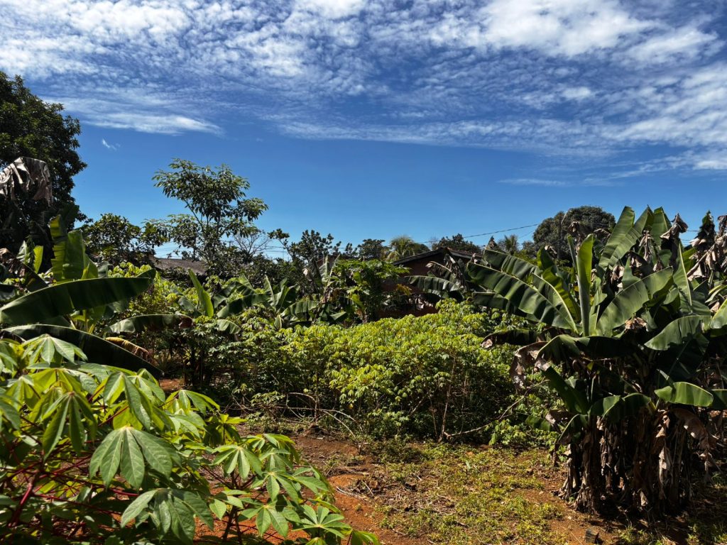 VENDE-SE TERRENO NA RUA EMÍLIO MORET, SETOR INDUSTRIAL – JARU/RO